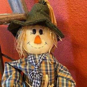 Fall Scarecrow 25 inches Tall.